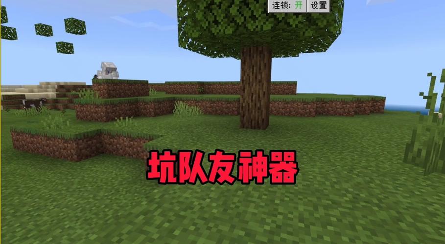我的世界找队友指令截图