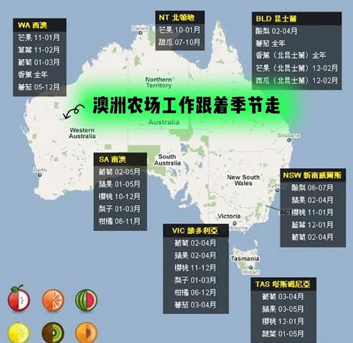 澳洲牧场打工游戏截图
