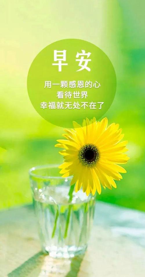 正能量app下载安装最新版本更新内容