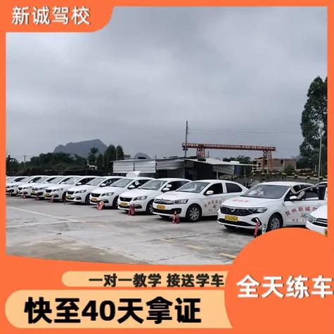 驾校联系电话游戏截图