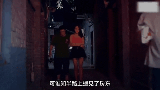 机蜜好剧免费观看全集