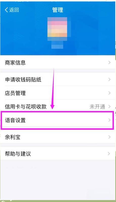 支付宝收款提示音怎么设置大小音缩略图
