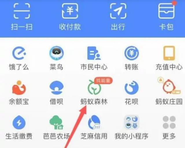 蚂蚁森林屏蔽好友偷能量步骤截图