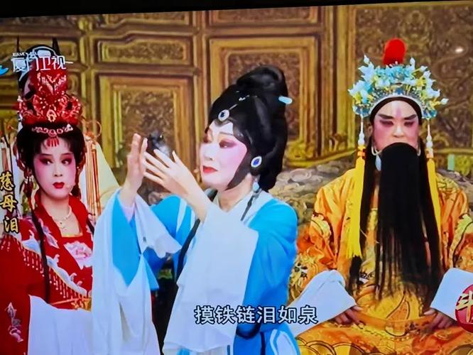 淮剧慈母泪全场