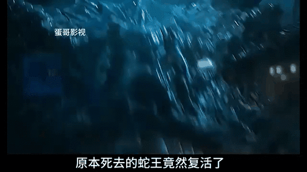 蛇王大战巨蟒