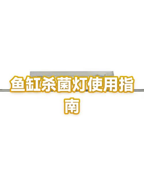 鱼缸杀菌灯开多长时间为好