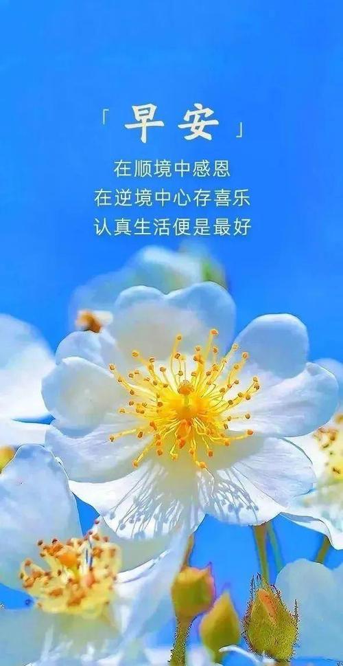 朋友圈清人的经典句子缩略图