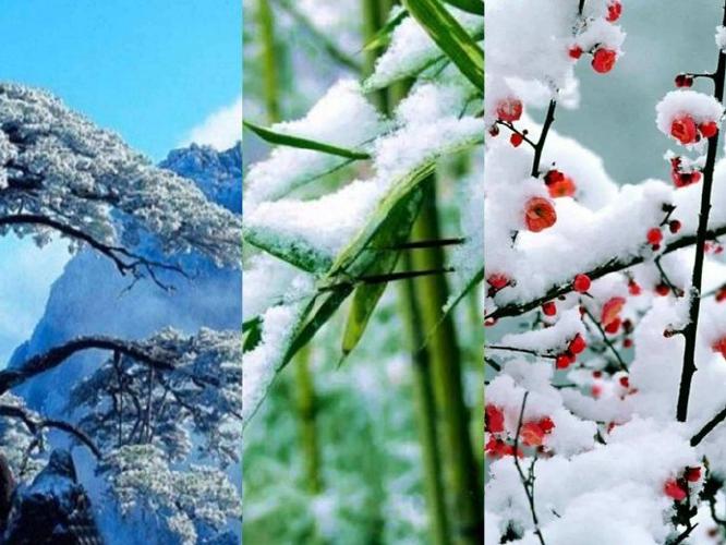 岁寒听雪落,浮生有清欢