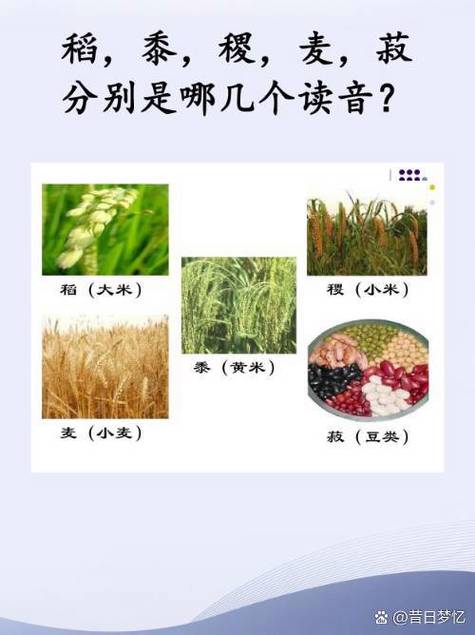 小米耳机的麦克风在哪里图标