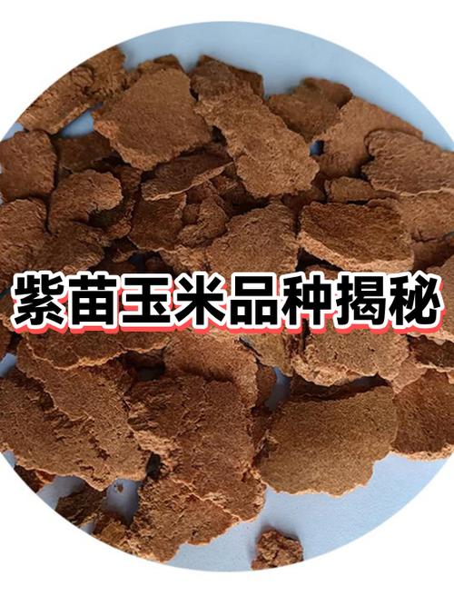 lostllife怎么长出紫角图标