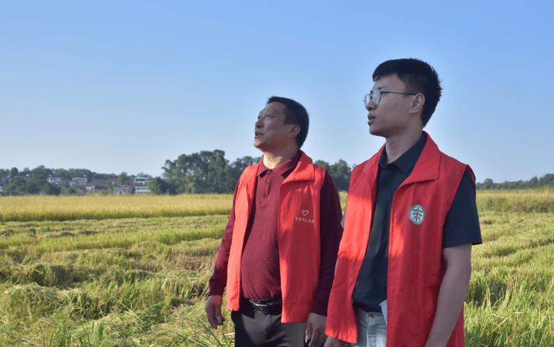 驻村感悟精辟句子游戏截图