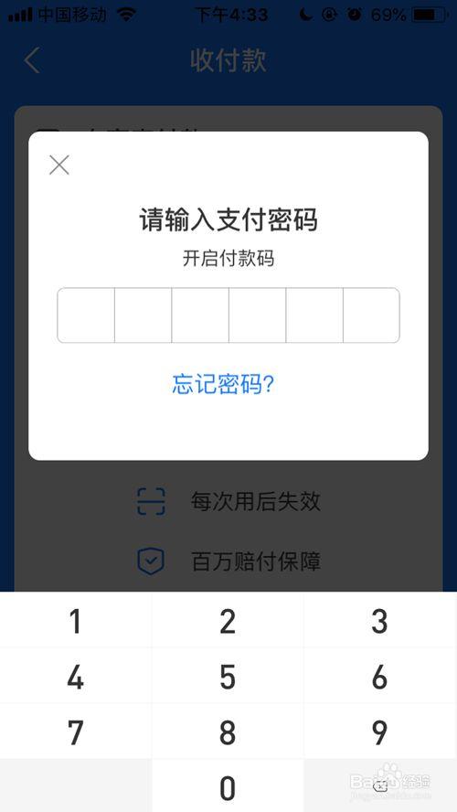 支付宝付款码怎么设置密码图标