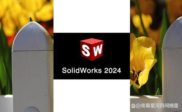 SW2024截图