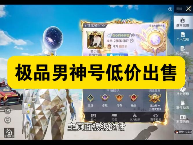 和平精英id代码图标