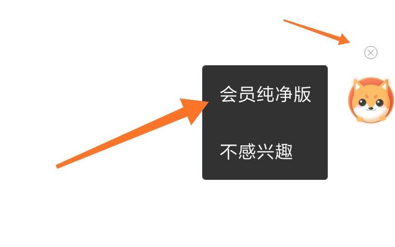 wps2023去广告永久会员版