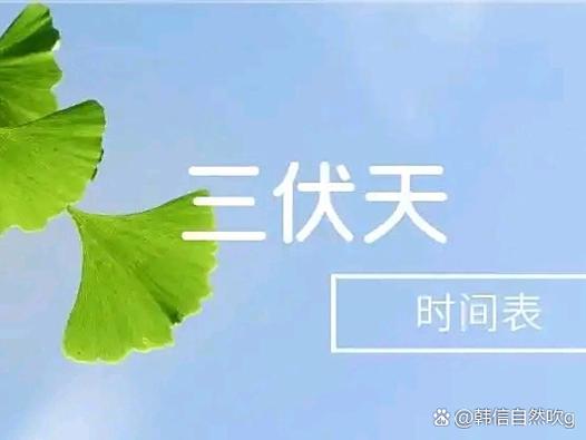 2026年三伏日期表