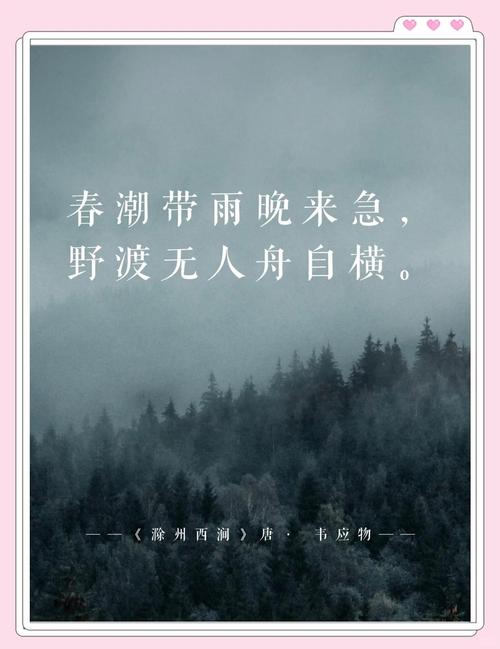 潮州话视频图标