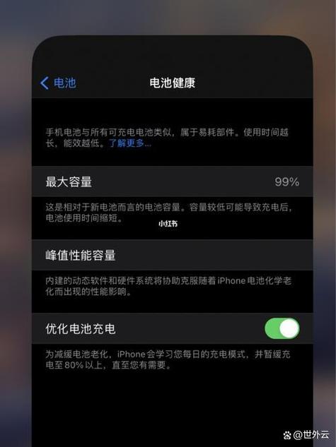苹果电量100还继续充吗