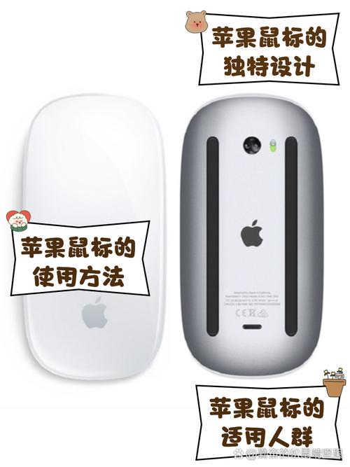苹果鼠标一直亮着的原因截图