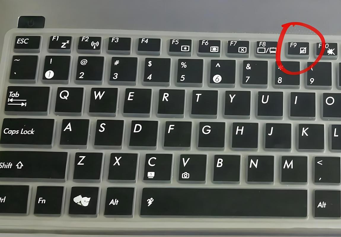 电脑字母键盘打不出字母缩略图