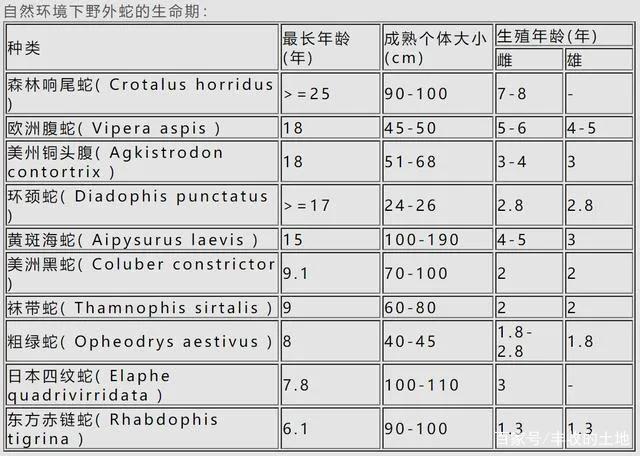 蟒蛇的寿命