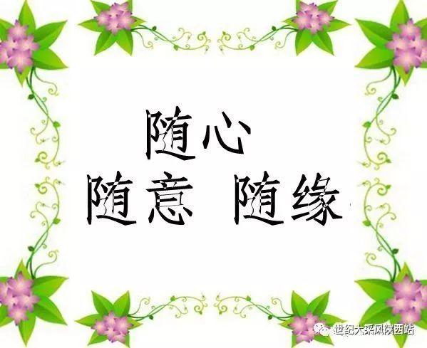 有线电视可以回看吗缩略图