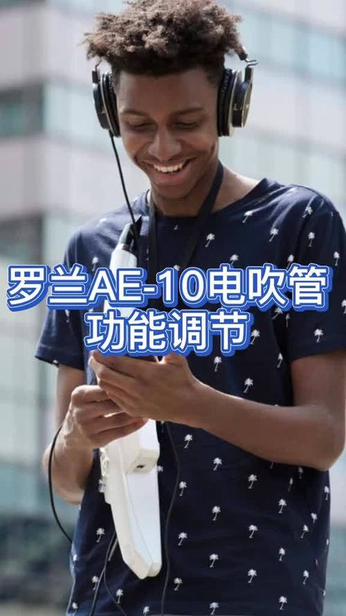罗兰电吹管音箱缩略图