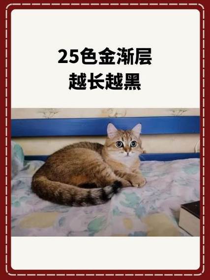 金渐层色号对比表截图