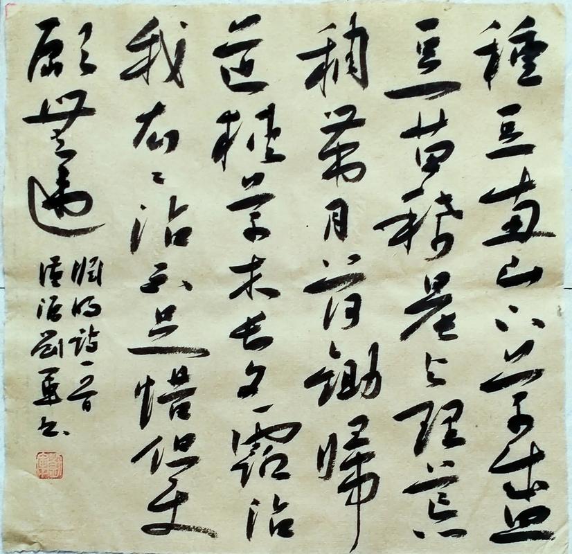 沐岑公益国体直装6.8