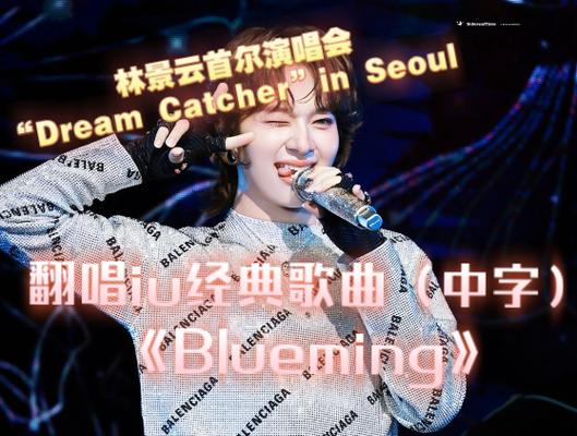 blueming歌曲中文翻译游戏截图