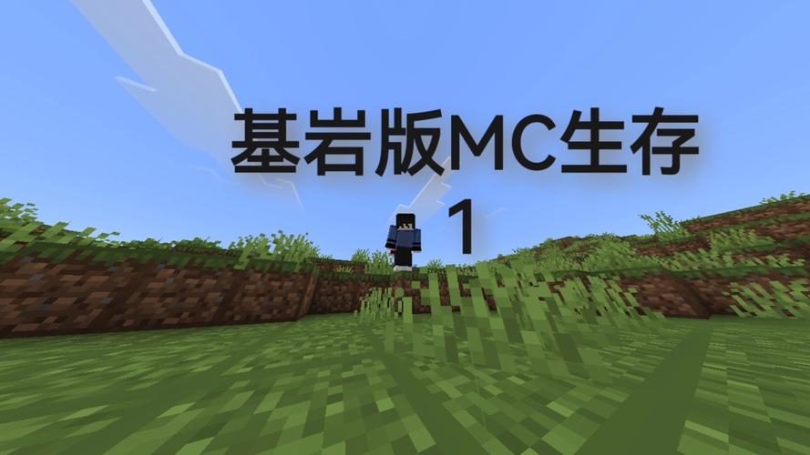我的世界基岩版测试