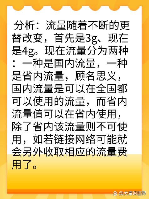 国内其他流量是什么意思截图