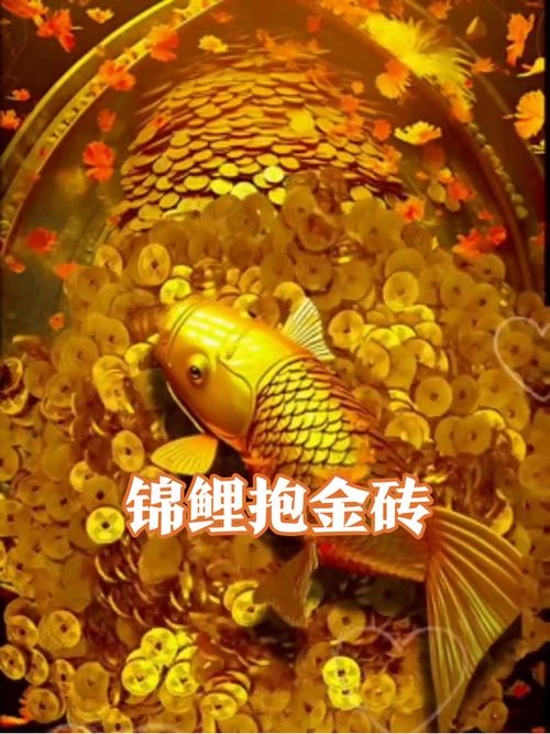 攒钱锦鲤多久合成分红锦鲤