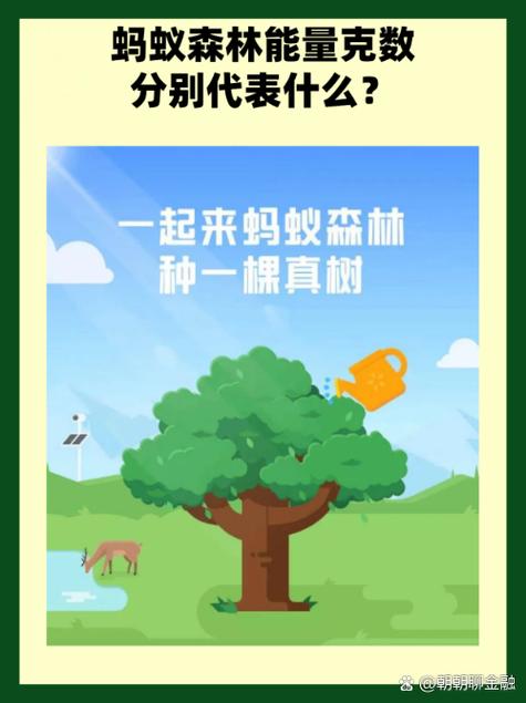 蚂蚁森林27g是什么能量