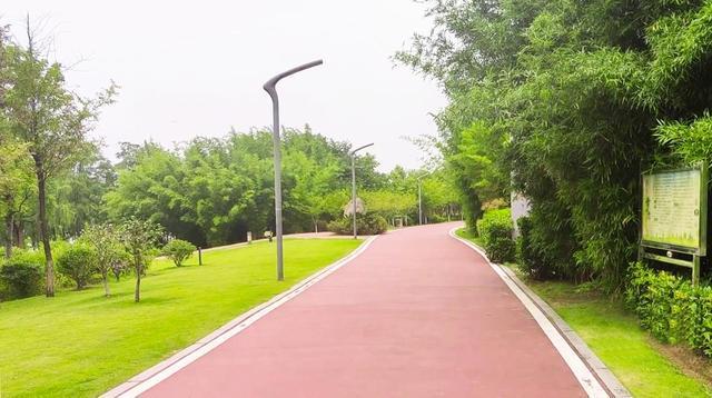 蚂蚁森林绑定步数截图