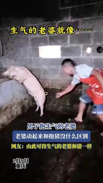 抱女朋友像抱猪表情包缩略图