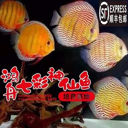 仙家渔场截图
