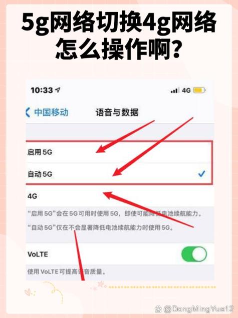 手机怎么关掉移动网络截图