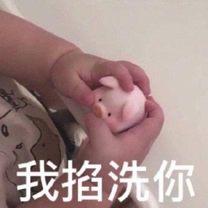 我抓住你了猪猪表情包