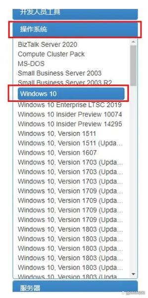 msdn原版和纯净版有什么区别图标