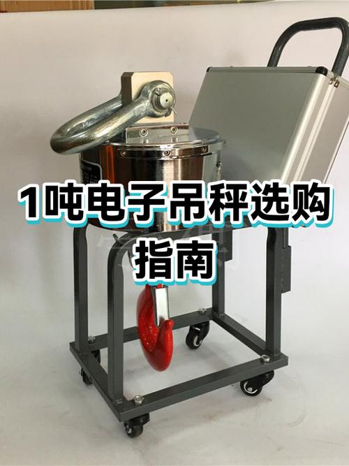 电子吊秤十大名牌图标