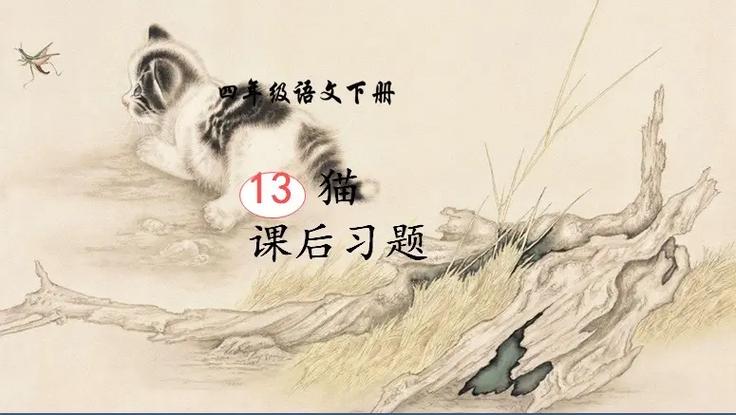 猫课3980靠谱吗