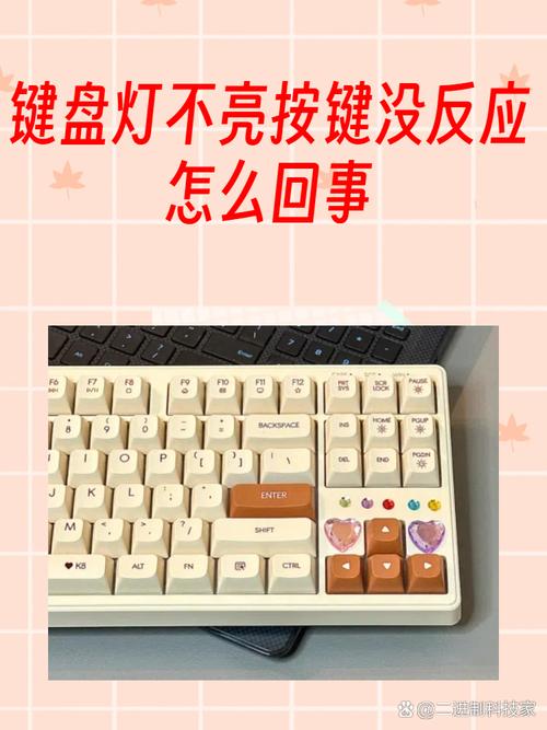 电脑键盘没亮灯按哪个键