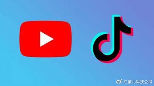 下载抖app短视频截图