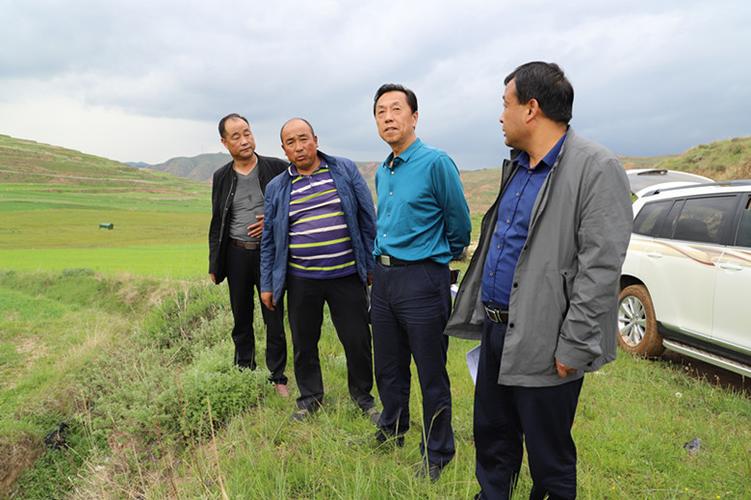 哪一年耕地建房不算违建图标
