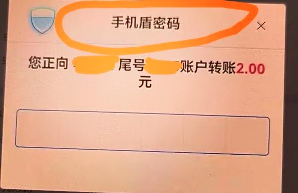 手机盾开通后可以关闭吗截图