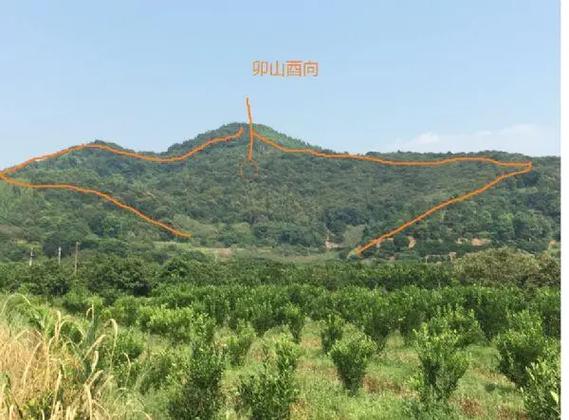 仙桥乌鸦插翅风水宝地截图