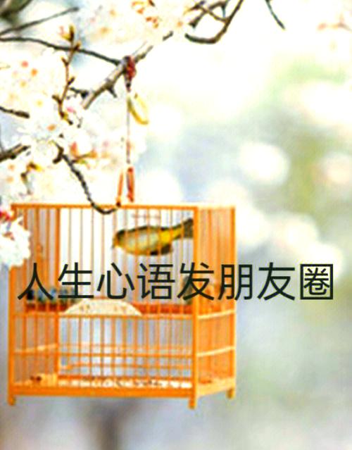 社交软件图标