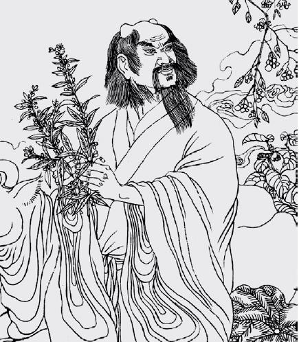 神农医圣传承截图