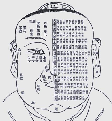 相术入门基础知识